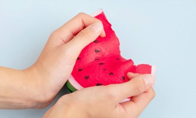 Watermelon Squishy