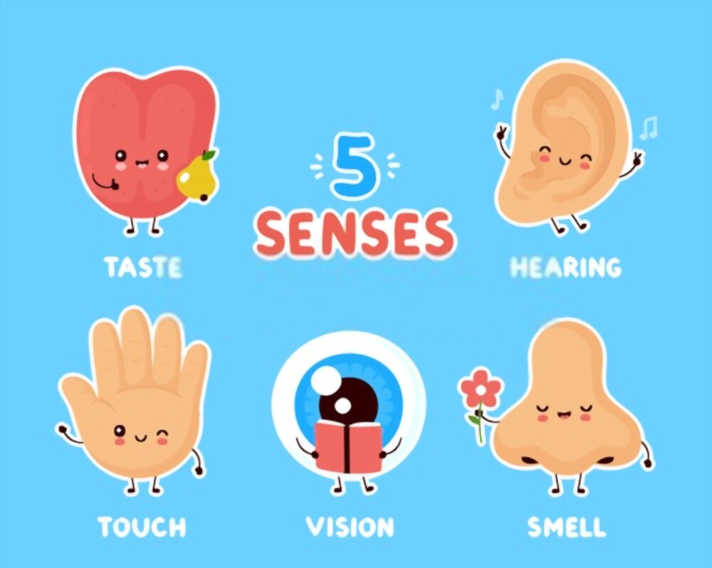 30 Inspiring Five Senses Activities for Children