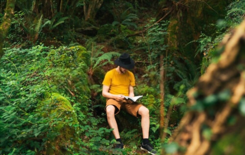 The Jungle with This Reading Hut 