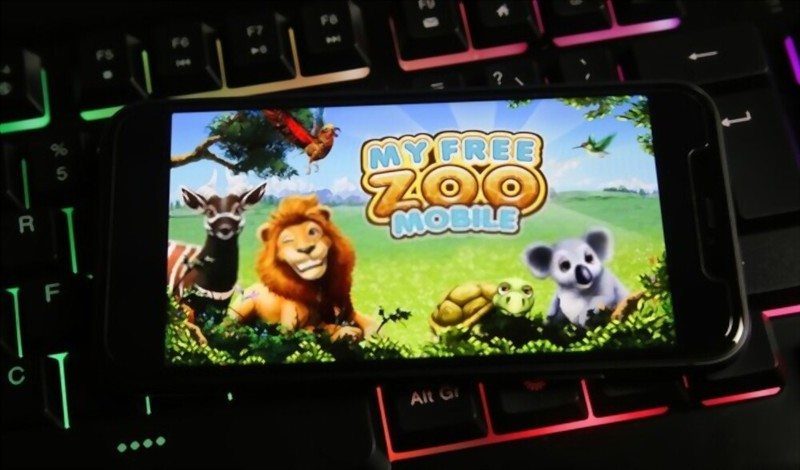 Keyboarding Zoo