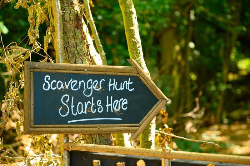 Plan a Scavenger Hunt
