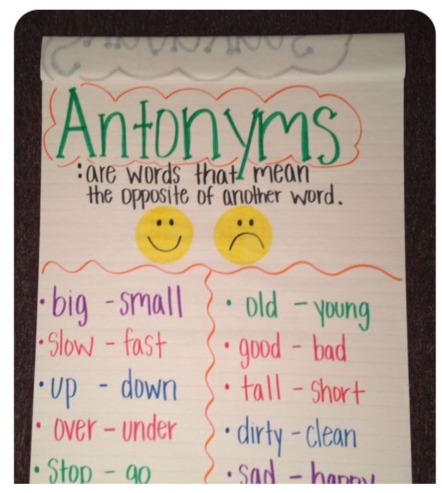 essay anchor chart 3rd grade