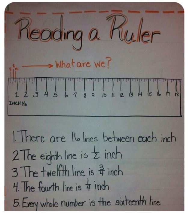 essay anchor chart 3rd grade